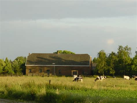 hoeve liekens|Openingstijden en Hoeve Liekens bvba